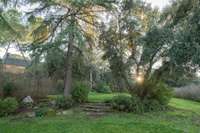 living - 1,982m² plot for sale in La Moraleja Urbanización, Madrid - gallery thumbnail - 5