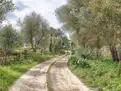 living - 1,767m² country house with 700m² garden for sale in Llucmajor - gallery thumbnail - 3