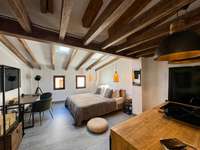living - 35m² loft for sale in Palma de Mallorca, Balearic Islands - gallery thumbnail - 10