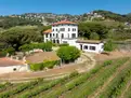 living - Casa rural de 922m² con 27,090m² de jardín en venta en Alella - gallery thumbnail - 8