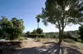 living - 500m² house / villa for sale in Bendinat, Balearic Islands - gallery thumbnail - 5