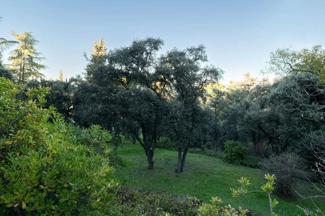 living - 1,982m² plot for sale in La Moraleja Urbanización, Madrid - gallery - 2