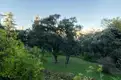 living - 1,982m² plot for sale in La Moraleja Urbanización, Madrid - gallery thumbnail - 2