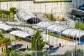 office - Campus AquaMarina - Oficinas - Dils - gallery thumbnail - 7