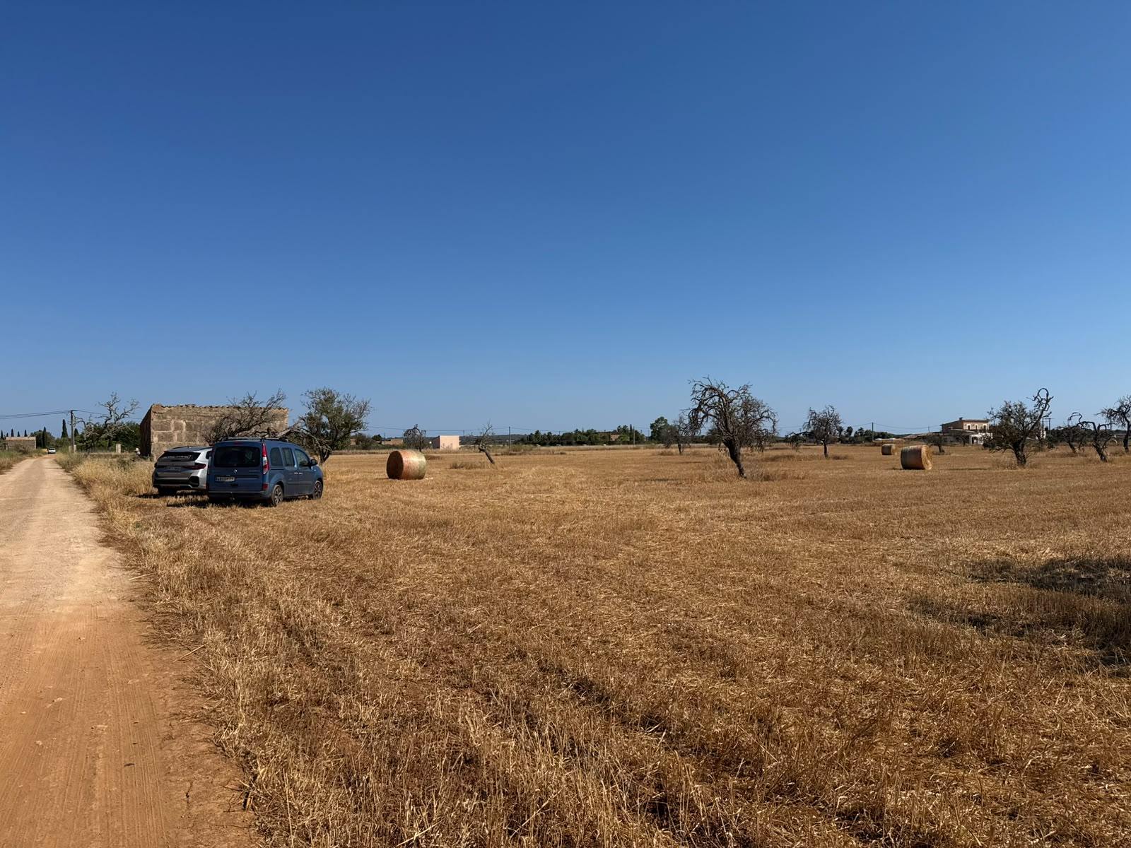 living - 19,544m² plot with 19,544m² garden for sale in Campos - gallery thumbnail - 8