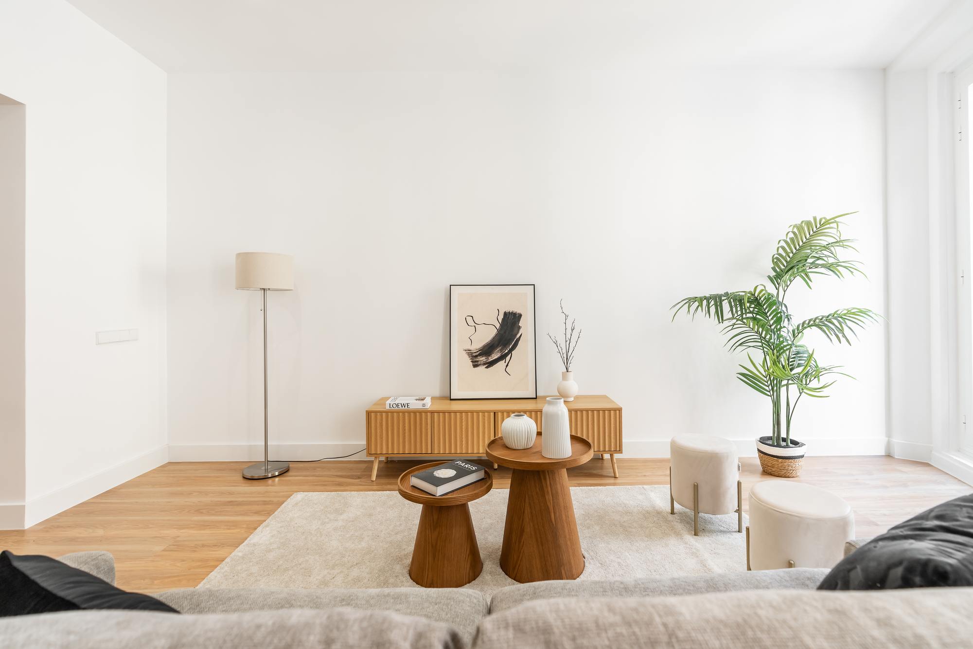 living - 114m² apartment for sale in La Latina, Madrid - gallery thumbnail - 8
