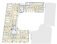 office - Boncompagni's - Office - Dils - Plan d'étage thumbnail - 1