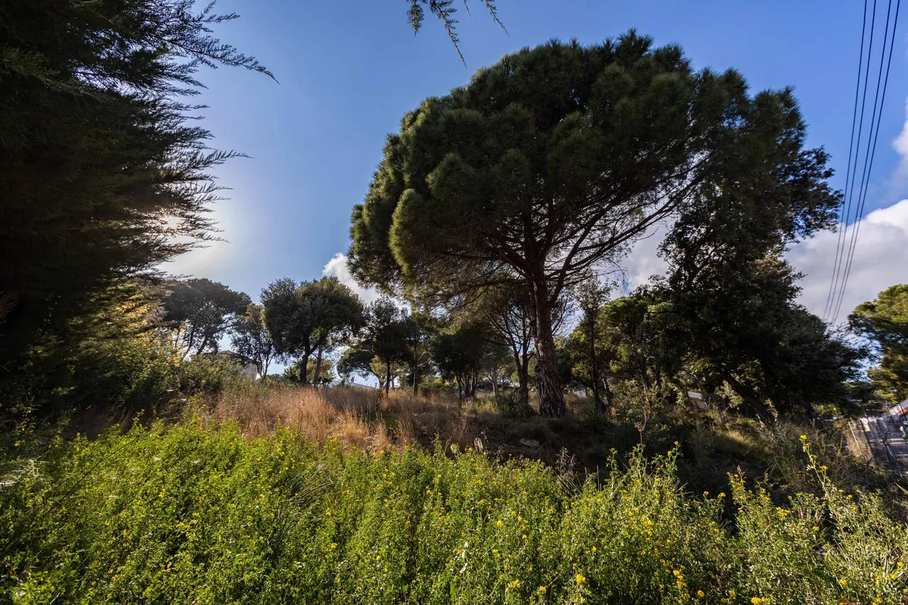 living - 2,013m² plot for sale in Cabrils, Barcelona - gallery - 10