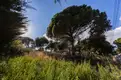 living - Parcela de 2.013 m² en venta en Cabrils, Barcelona - gallery thumbnail - 10