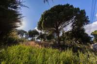 living - Parcela de 2.013 m² en venta en Cabrils, Barcelona - gallery thumbnail - 10