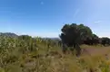 living - 1,662m² plot for sale in Premià de Dalt, Barcelona - gallery thumbnail - 9