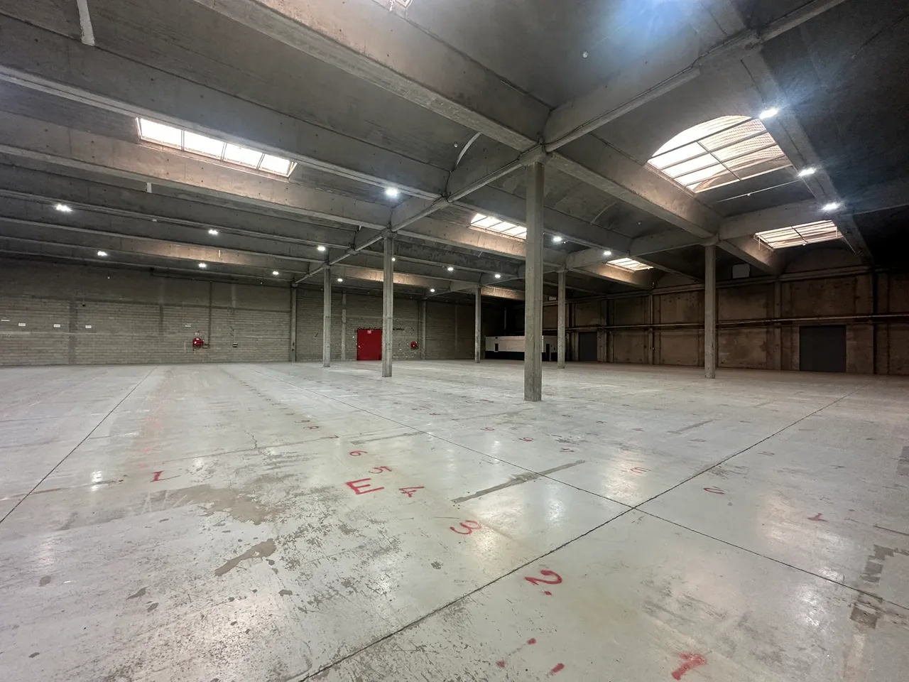logistics - Entrepôt À Louer - gallery - 3