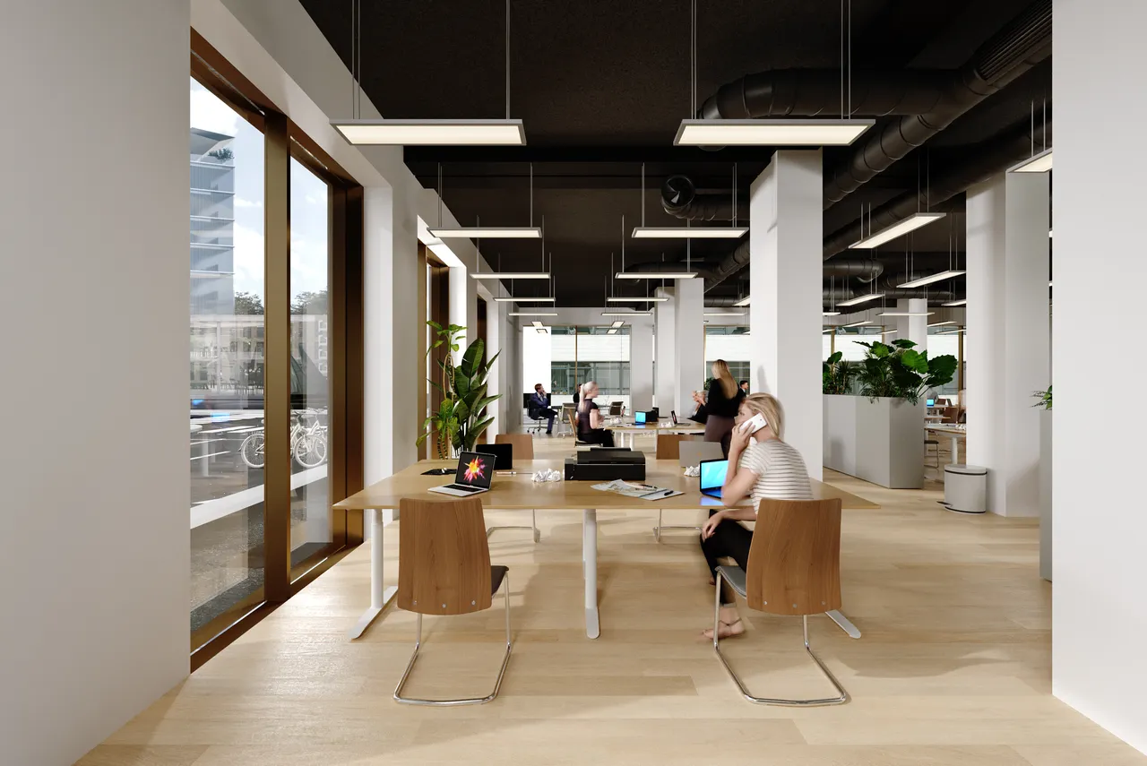 office - VIBE - Office - Dils - gallery - 7