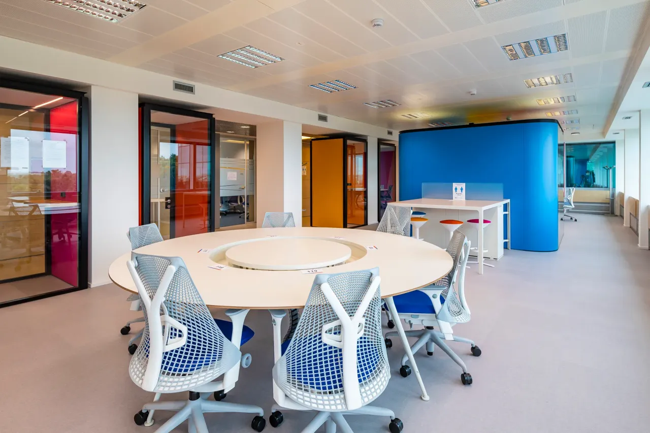 office - Woliba - Uffici - Dils - gallery - 19