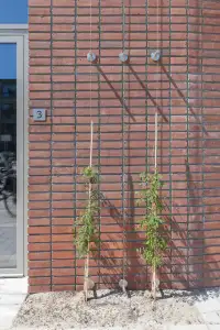 office - Barajasweg 1-3 - Office - Dils - gallery thumbnail - 12