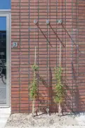 office - Barajasweg 1-3 - Uffici - Dils - gallery thumbnail - 12