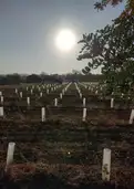 living - 23,114m² plot for sale in San Antonio, Balearic Islands - gallery thumbnail - 4