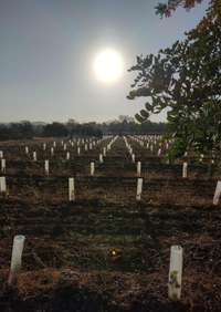 living - 23,114m² plot for sale in San Antonio, Balearic Islands - gallery thumbnail - 4