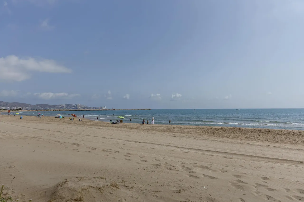 living - 366m² house / villa for sale in Cullera, Valencia - gallery - 6
