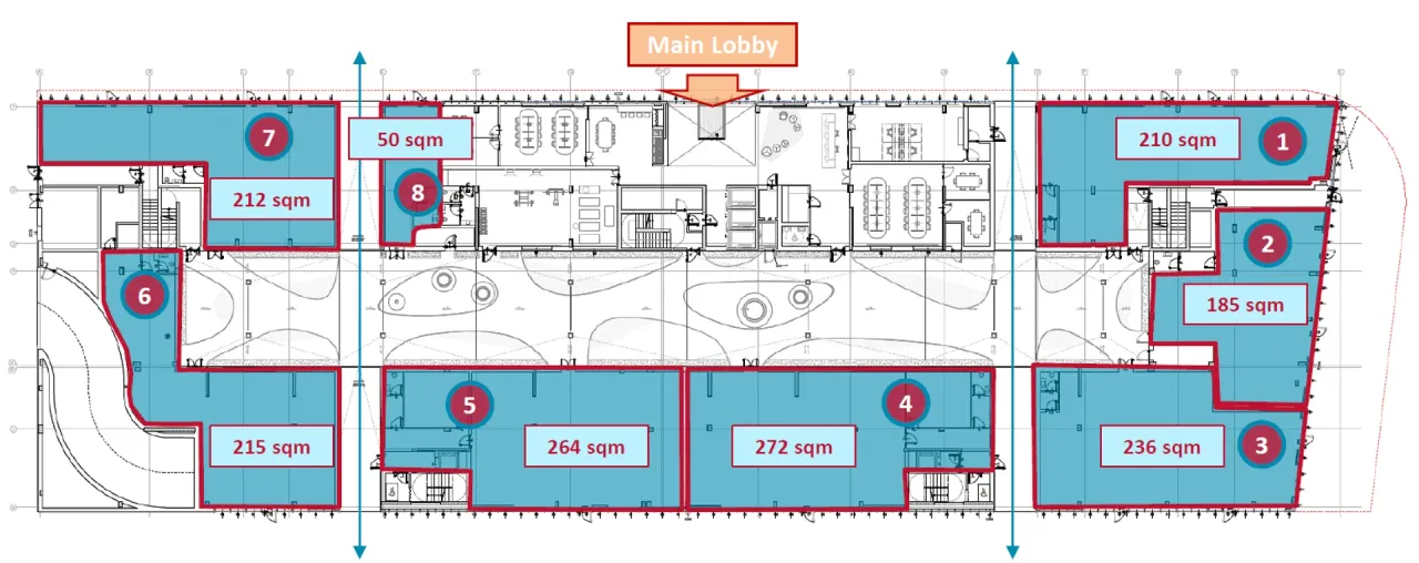 retail - Durando - Retail - Dils - Plan d'étage - 1