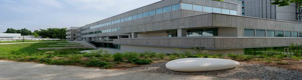 office - B7 - Uffici - Dils - gallery - 10