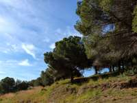 living - 1,566m² plot for sale in Premià de Dalt, Barcelona - gallery thumbnail - 9