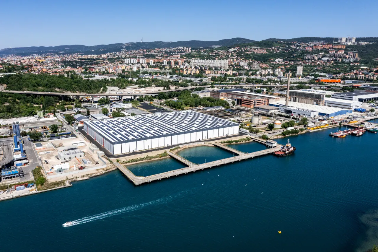 logistics - Triestre Port Warehouse - Logistics - Dils - gallery - 2