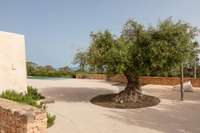 living - Casa / villa de 585m² en venta en Formentera - gallery thumbnail - 10