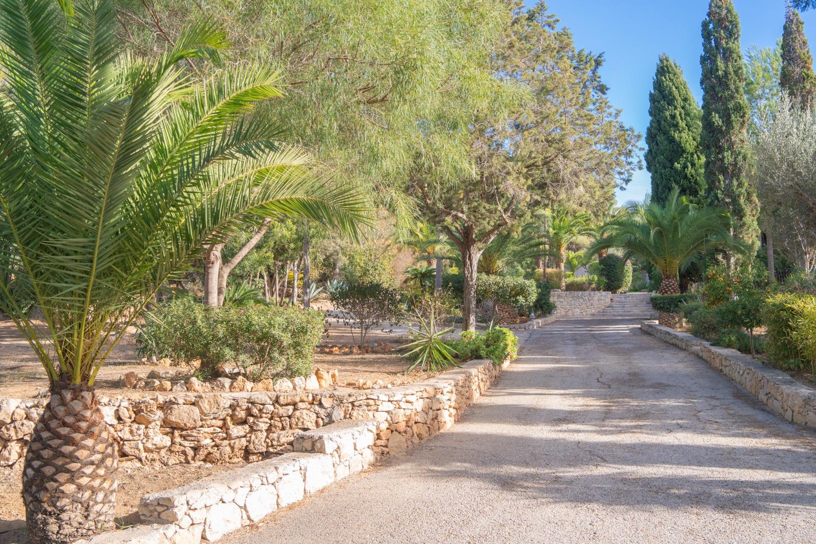 living - 689m² house / villa for sale in Ibiza Town - gallery thumbnail - 9