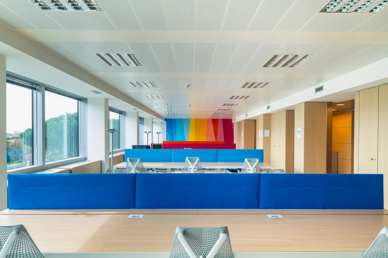 office - Woliba - Uffici - Dils - gallery - 17