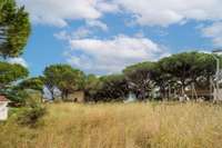 living - Parcela de 1,674m² en venta en Arenys de Mar, Barcelona - gallery thumbnail - 7