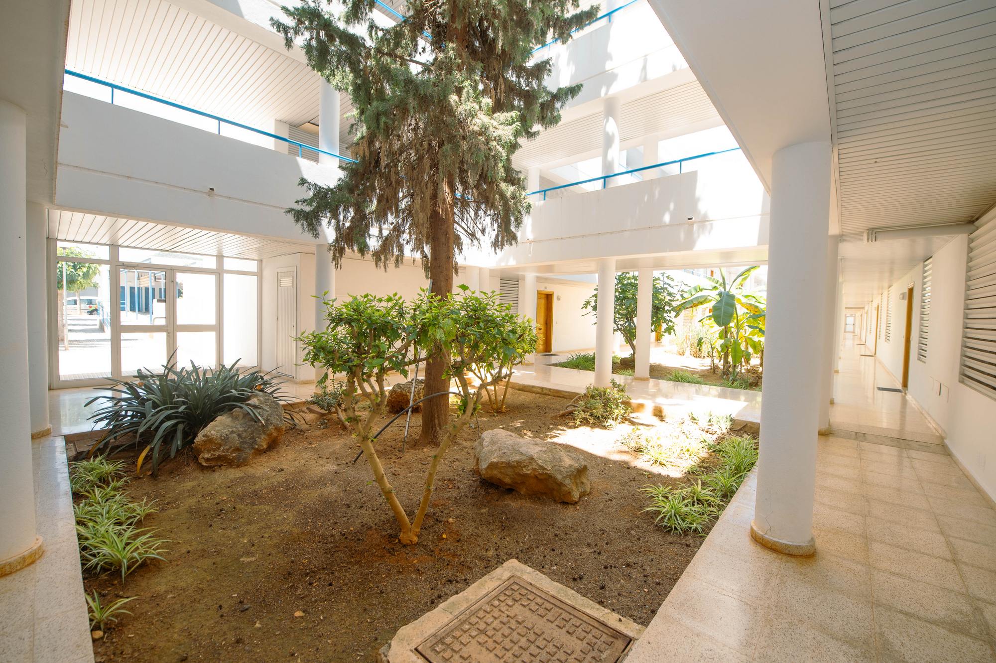 living - 86m² apartment with 42m² garden for sale in Ibiza Town - gallery thumbnail - 3