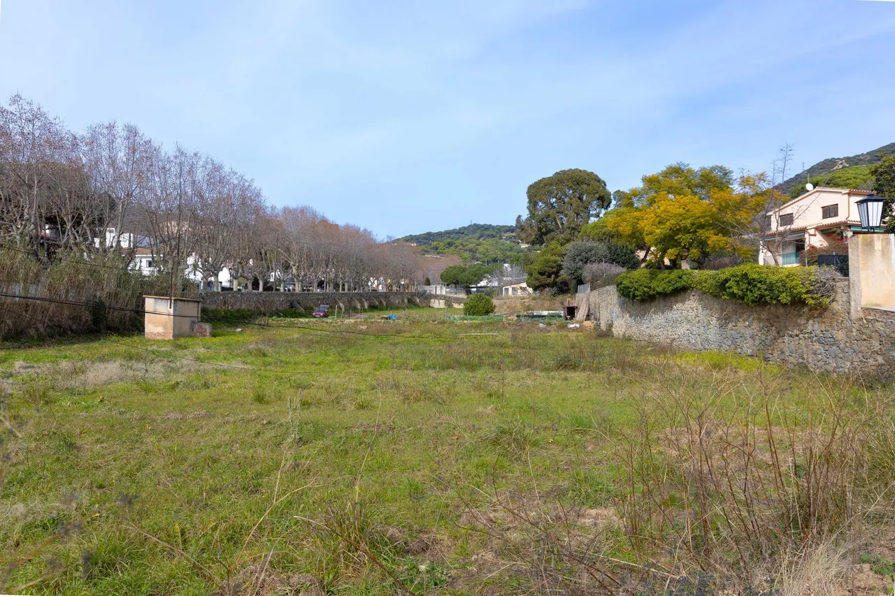living - 7,638m² plot for sale in Teià, Barcelona - gallery - 7