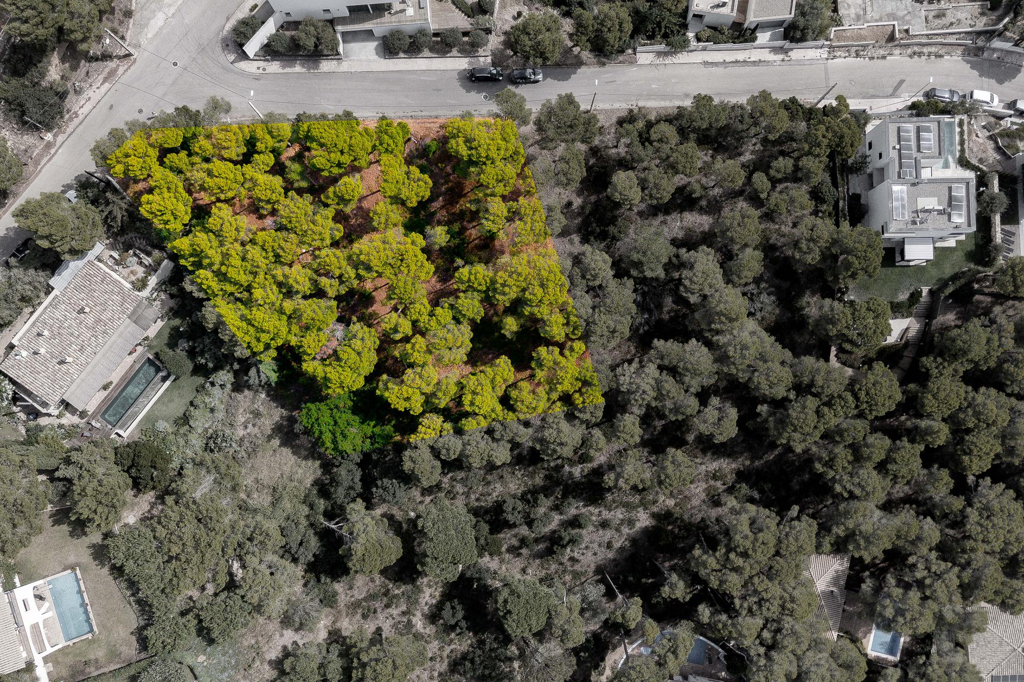 living - Parcela de 1,610m² en venta en Tamariu, Costa Brava - gallery thumbnail - 6