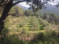 living - Masía de 590 m² en venta en Penedès, Sitges - gallery thumbnail - 7