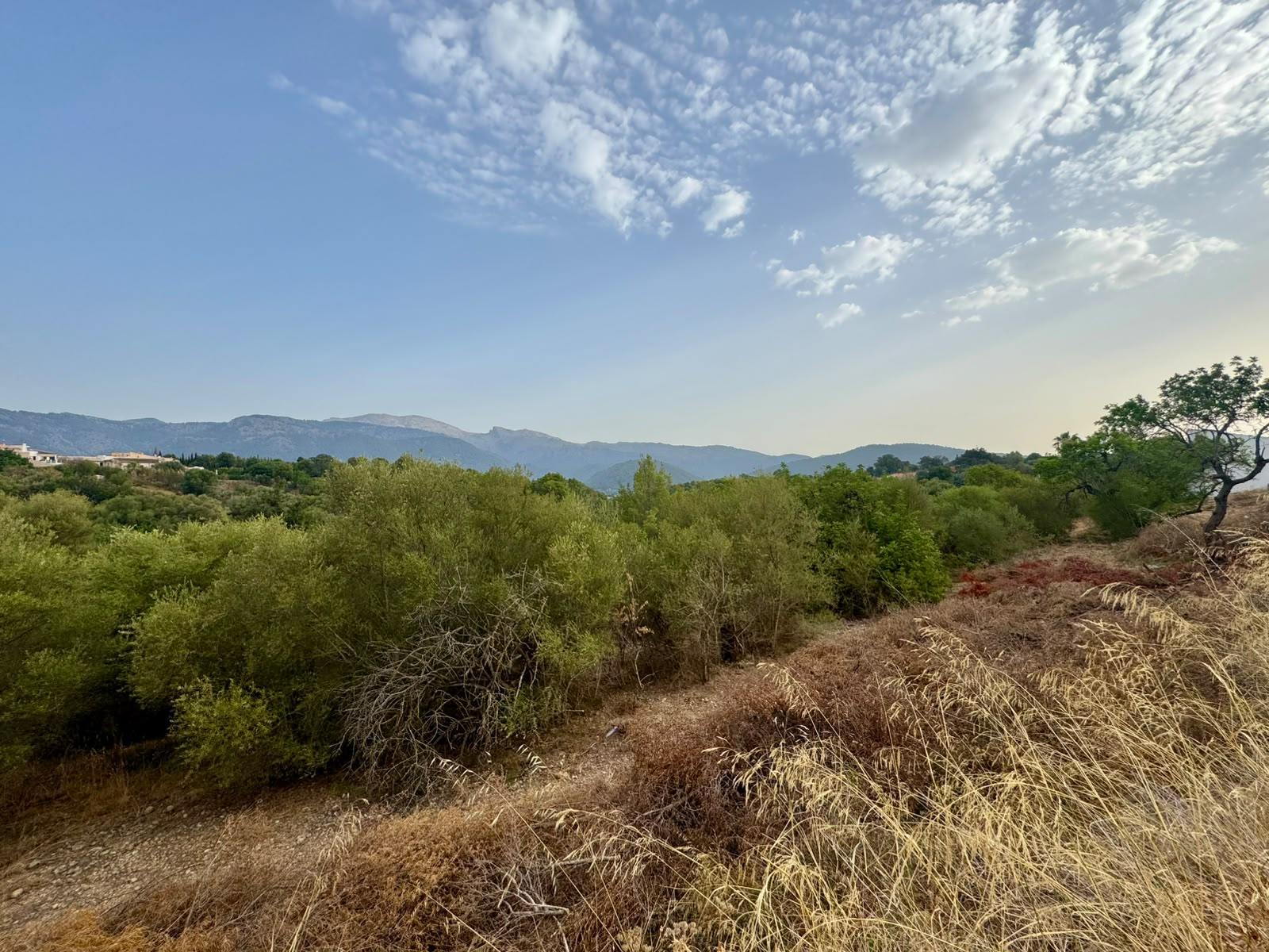 living - 347m² plot with 347m² garden for sale in Campanet - gallery thumbnail - 3