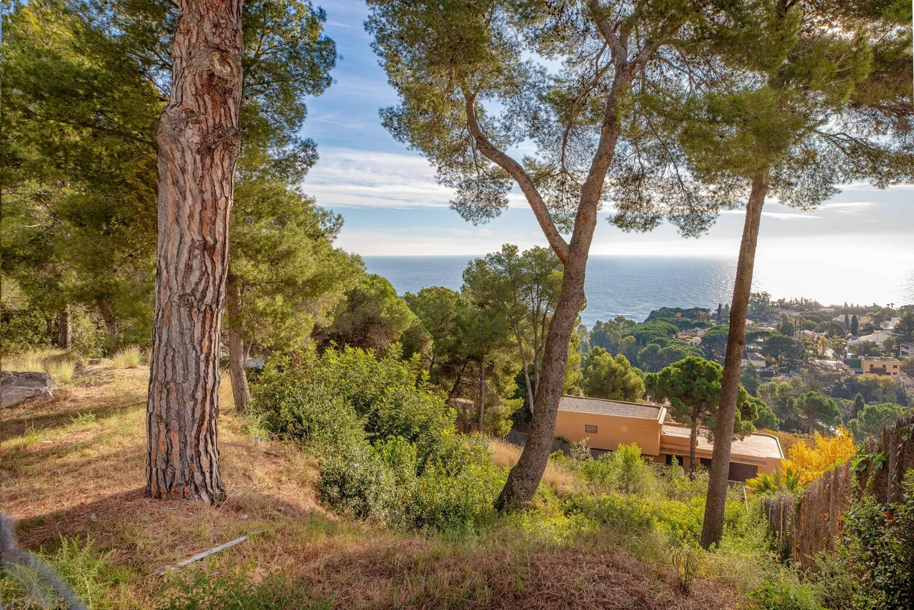 living - 822m² plot for sale in Blanes, Costa Brava - gallery - 3