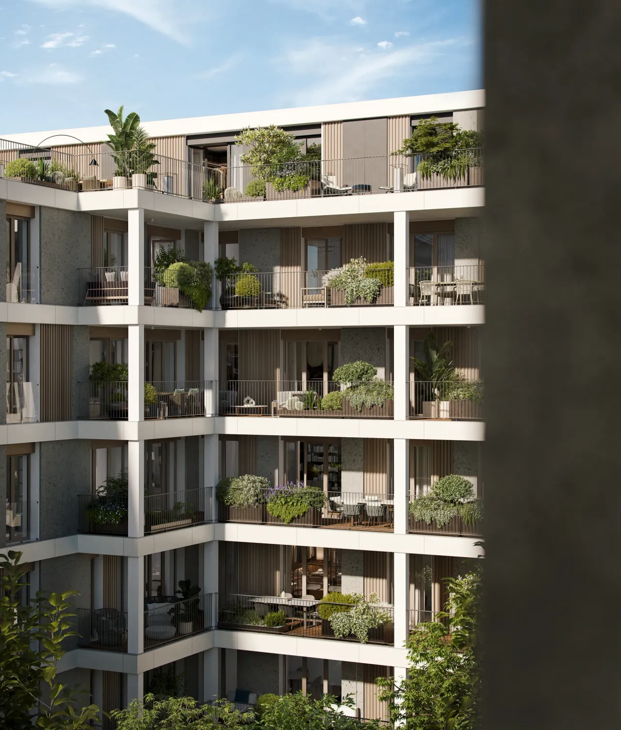 living - Seta Living - Living - Dils - gallery - 11