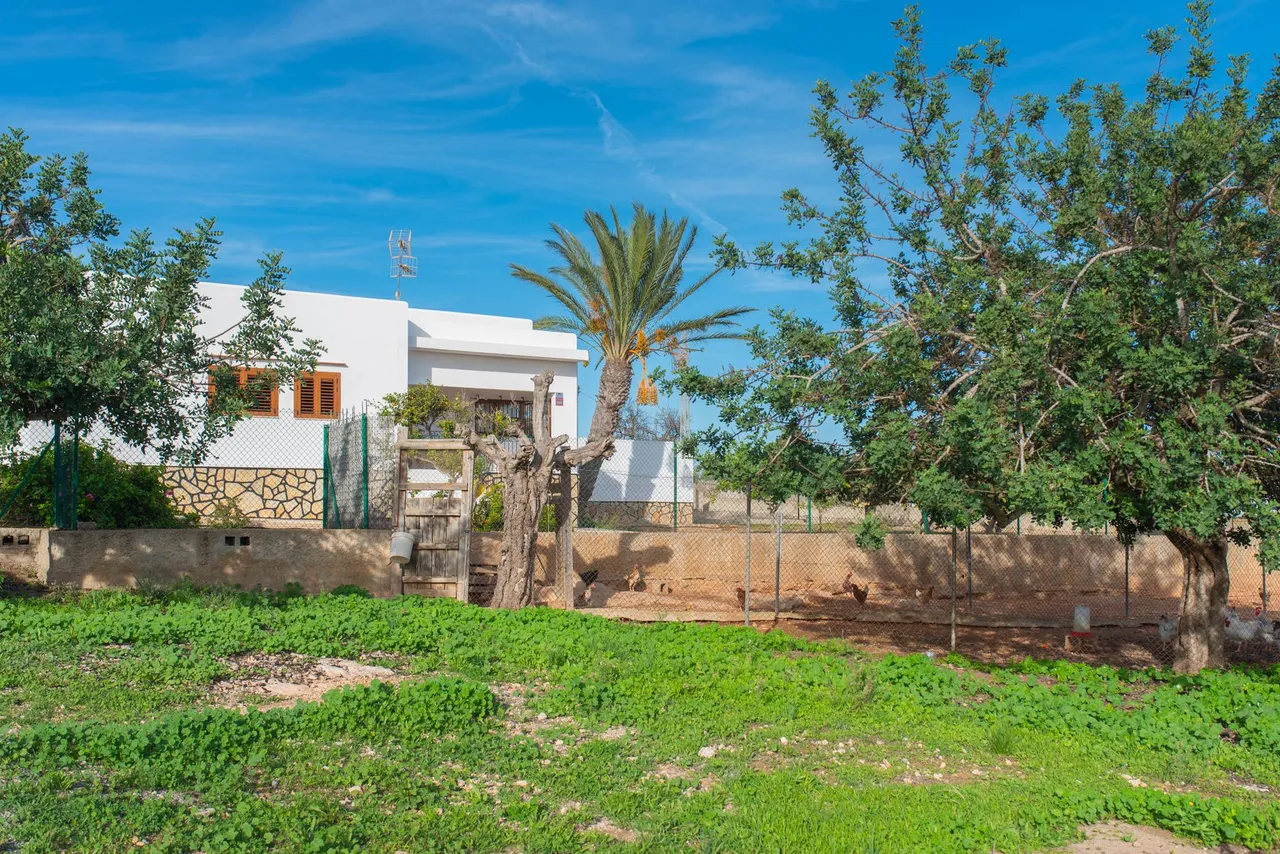 living - 195m² house / villa for sale in Ibiza Town - gallery - 8