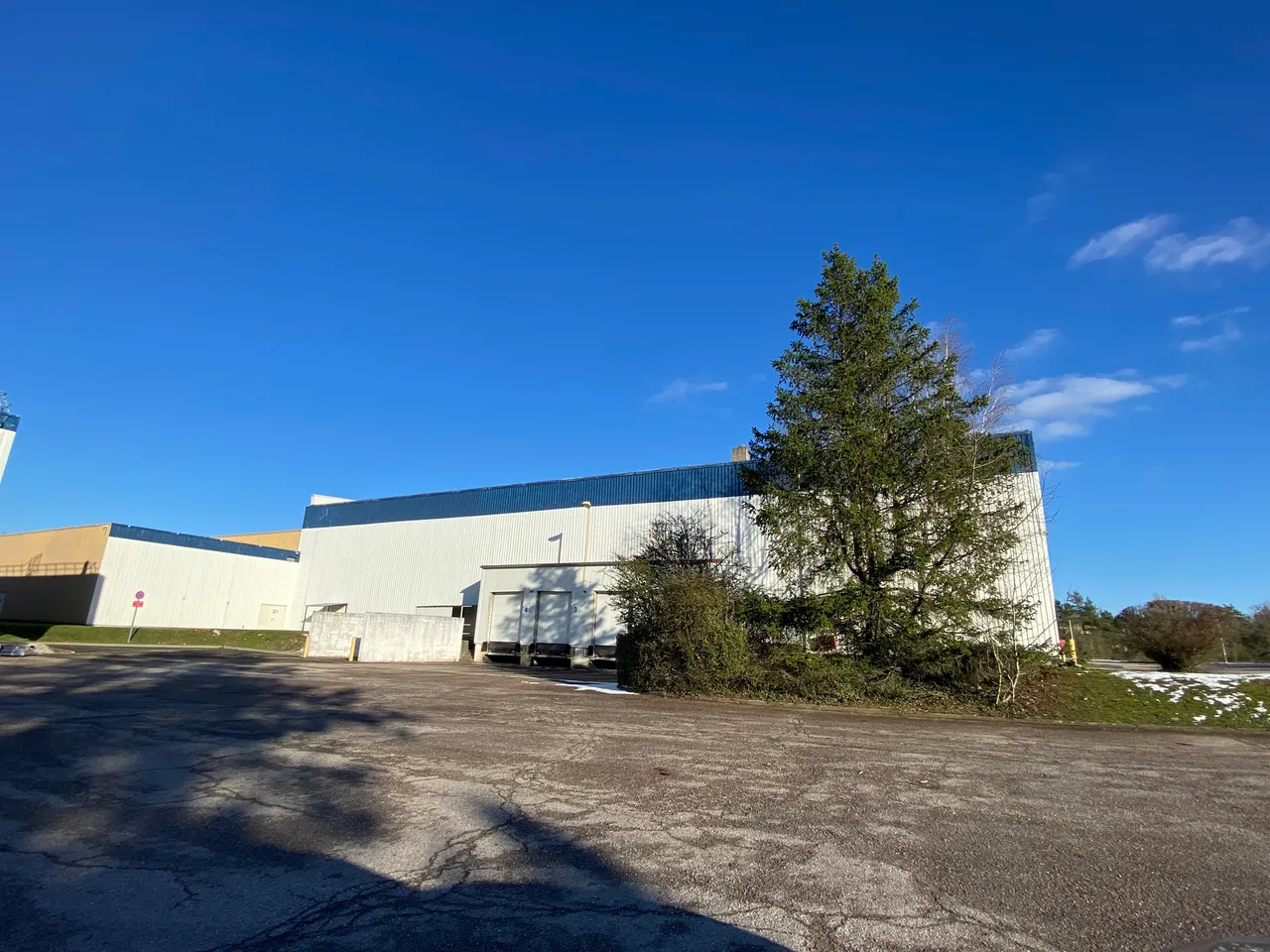 logistics - Logistics Warehouse For Rent - gallery - 4