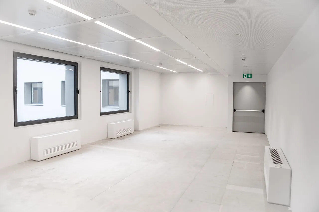 office - VIBE - Office - Dils - gallery - 33