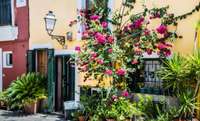 living - 132m² house / villa with 16m² terrace for sale in Palma de Mallorca - gallery thumbnail - 10
