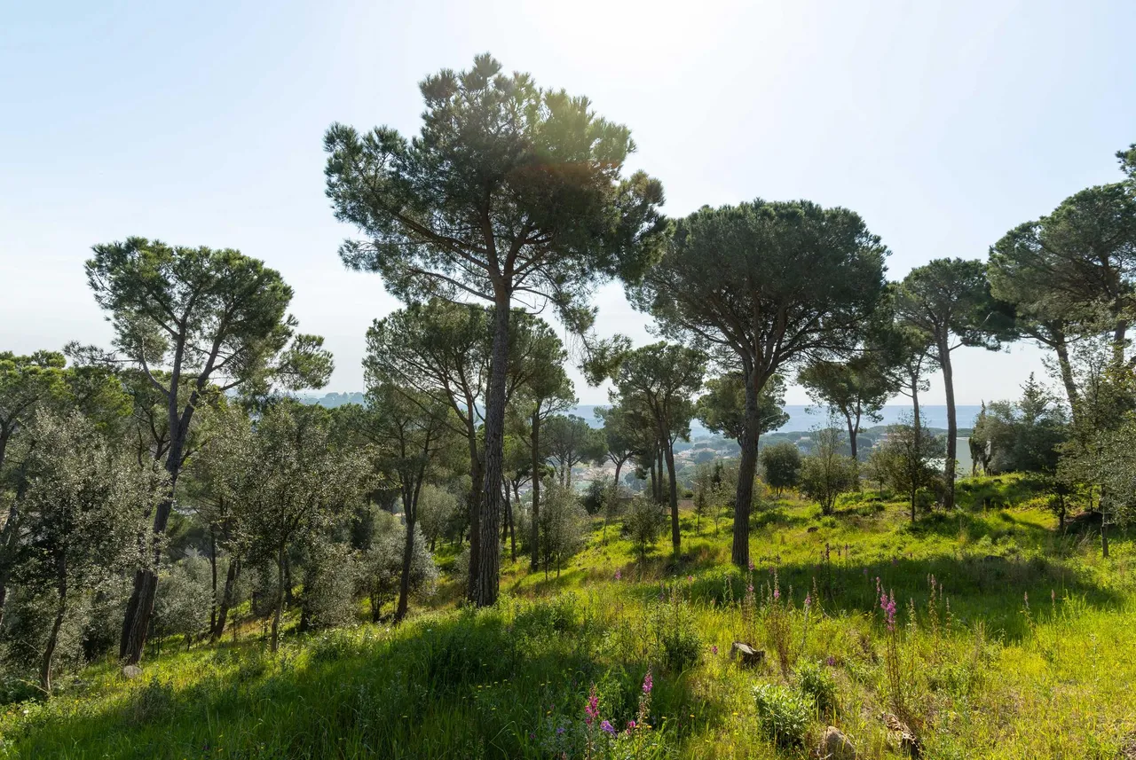 living - Casa / villa de 442m² en venta en Sant Andreu de Llavaneres - gallery - 4