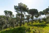 living - Casa / villa de 442m² en venta en Sant Andreu de Llavaneres - gallery thumbnail - 4
