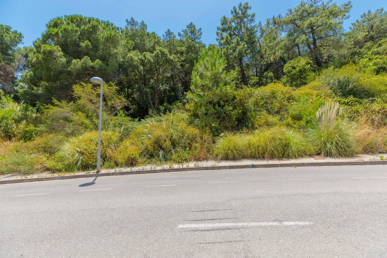 living - 2,398m² plot for sale in Blanes, Costa Brava - gallery - 6