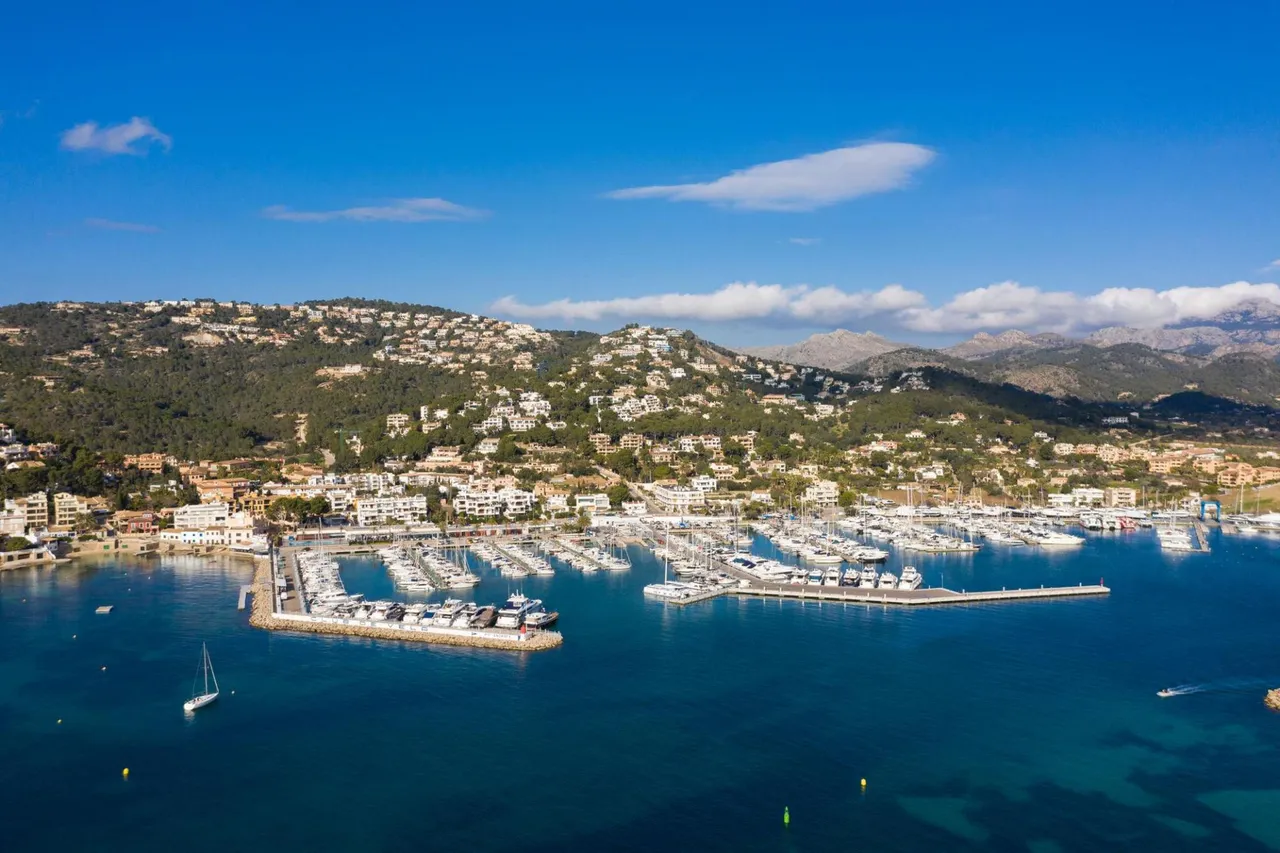 living - 342m² plot for sale in Port d'Andratx, Balearic Islands - gallery - 2