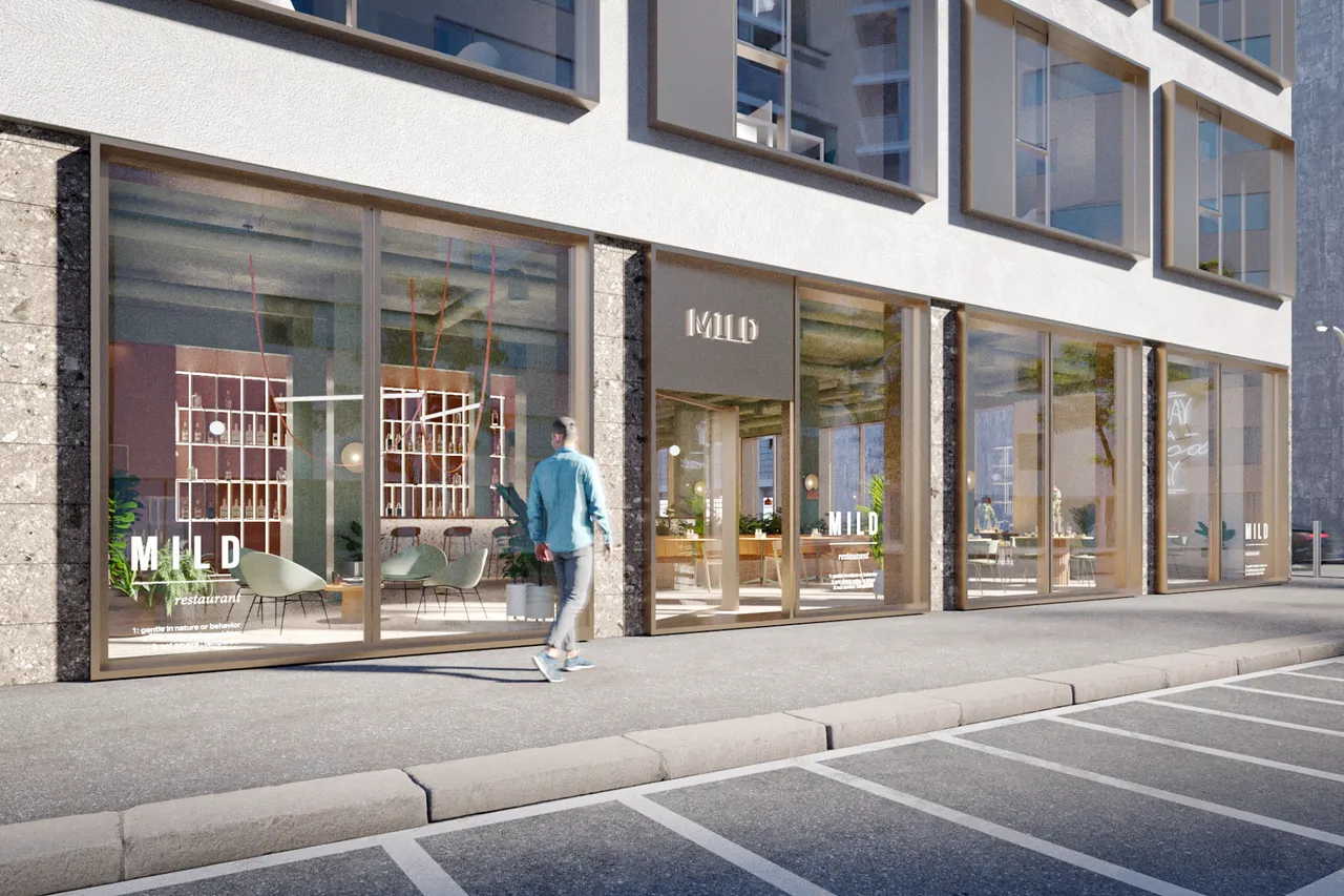 retail - VIBE - Retail - Dils - gallery - 2