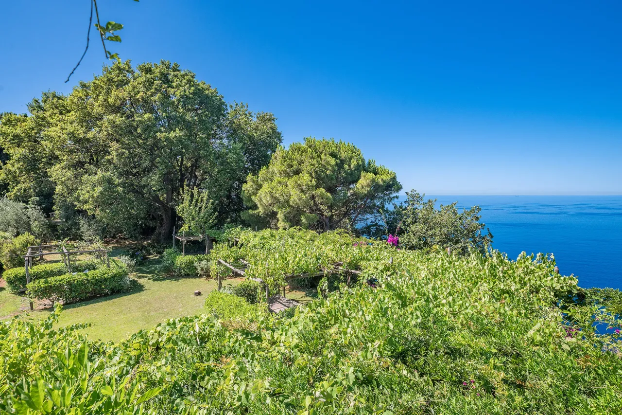 living - Portofino - Living - Dils - gallery - 33