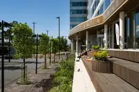 office - Pharos - Office - Dils - gallery thumbnail - 6