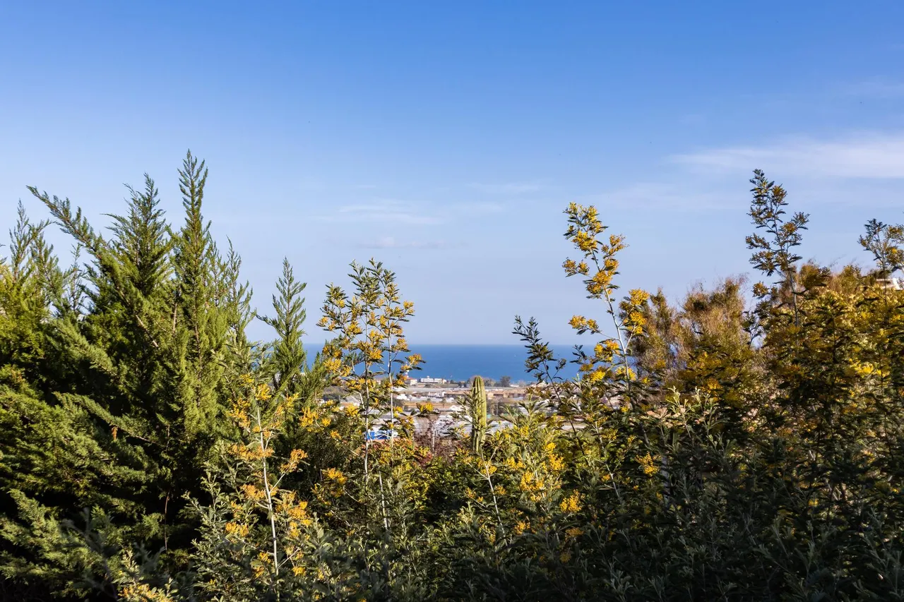 living - 2,013m² plot for sale in Cabrils, Barcelona - gallery - 6